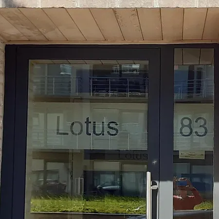 Lotus 3